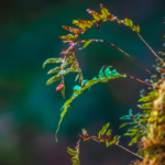 Vrouwencirkel & Sound Bath: Nurture (geweest)